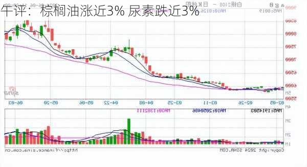 午评：棕榈油涨近3% 尿素跌近3%