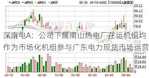 深南电A：公司下属南山热电厂在运机组均作为市场化机组参与广东电力现货市场运营