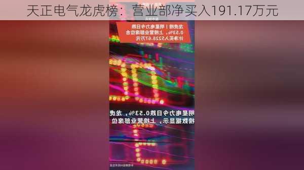 天正电气龙虎榜：营业部净买入191.17万元