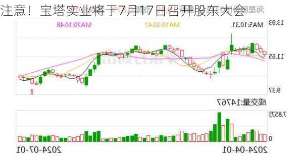 注意！宝塔实业将于7月17日召开股东大会