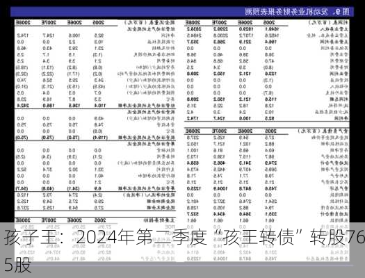 孩子王：2024年第二季度“孩王转债”转股765股