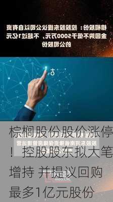 棕榈股份股价涨停！控股股东拟大笔增持 并提议回购最多1亿元股份