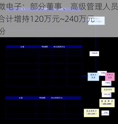 天微电子：部分董事、高级管理人员拟合计增持120万元~240万元股份