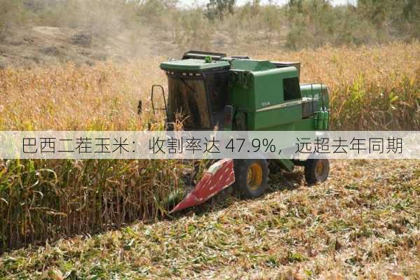 巴西二茬玉米：收割率达 47.9%，远超去年同期