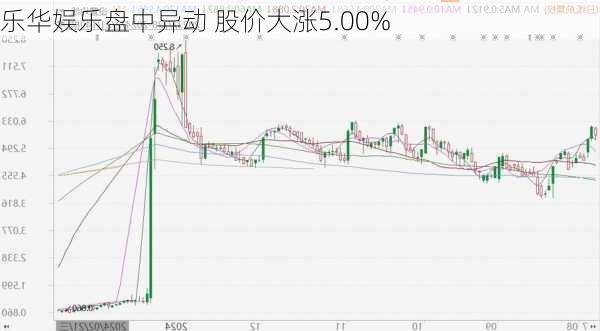 乐华娱乐盘中异动 股价大涨5.00%