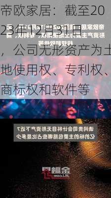 帝欧家居：截至2023年12月31日，公司无形资产为土地使用权、专利权、商标权和软件等