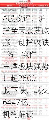 A股收评：沪指全天震荡微涨，创指收跌1%，软件、白酒板块强势！超2600股下跌，成交6447亿；机构解读