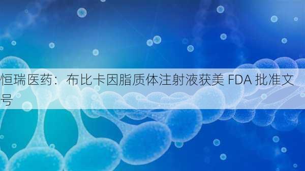 恒瑞医药：布比卡因脂质体注射液获美 FDA 批准文号