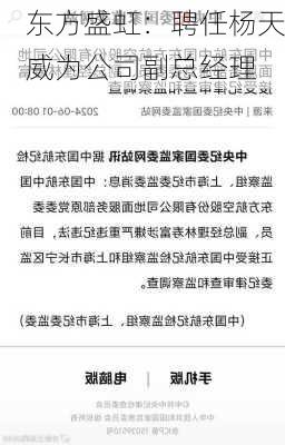 东方盛虹：聘任杨天威为公司副总经理