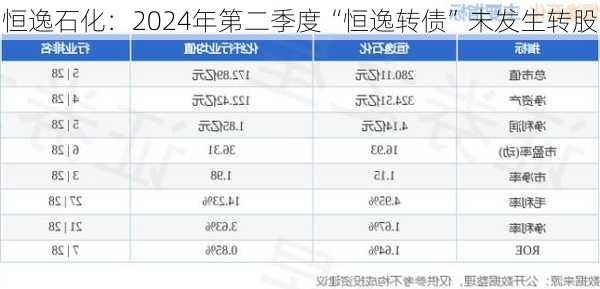 恒逸石化：2024年第二季度“恒逸转债”未发生转股