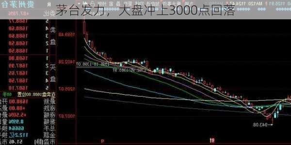 茅台发力，大盘冲上3000点回落