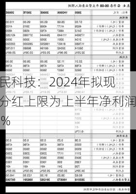 肇民科技：2024年拟现金分红上限为上半年净利润80%