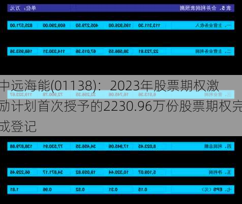 中远海能(01138)：2023年股票期权激励计划首次授予的2230.96万份股票期权完成登记