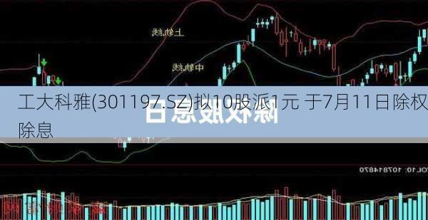 工大科雅(301197.SZ)拟10股派1元 于7月11日除权除息