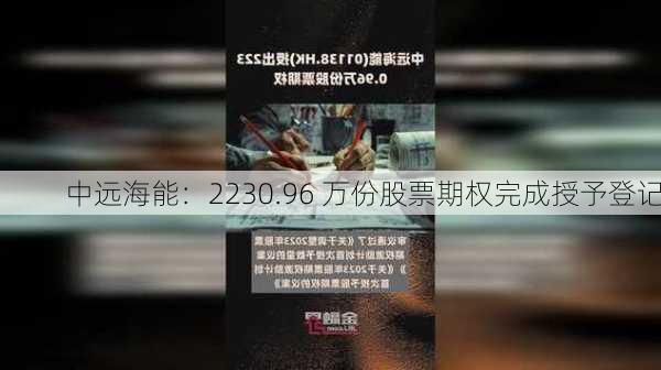 中远海能：2230.96 万份股票期权完成授予登记