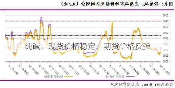 纯碱：现货价格稳定，期货价格反弹