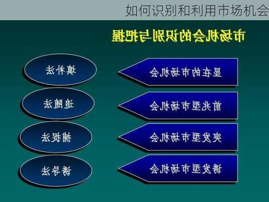 如何识别和利用市场机会