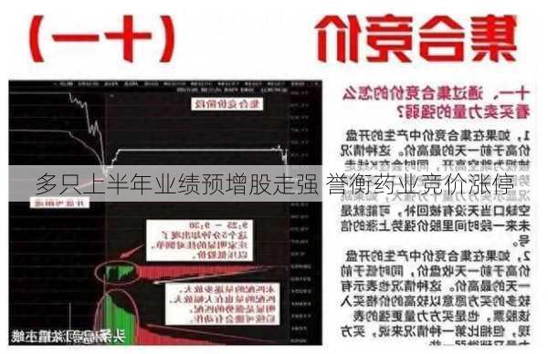 多只上半年业绩预增股走强 誉衡药业竞价涨停