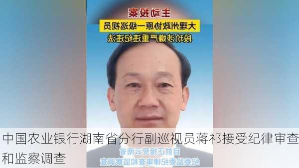 中国农业银行湖南省分行副巡视员蒋祁接受纪律审查和监察调查