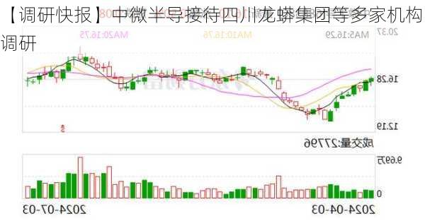 【调研快报】中微半导接待四川龙蟒集团等多家机构调研