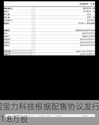 中国宝力科技根据配售协议发行1341.8万股