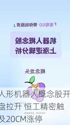 人形机器人概念股开盘拉升 恒工精密触及20CM涨停