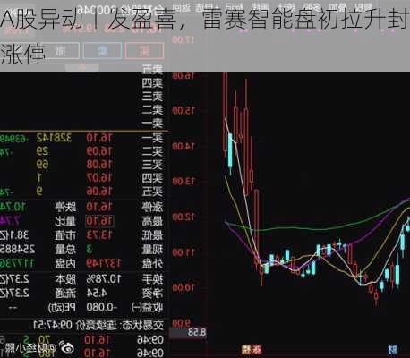 A股异动丨发盈喜，雷赛智能盘初拉升封涨停