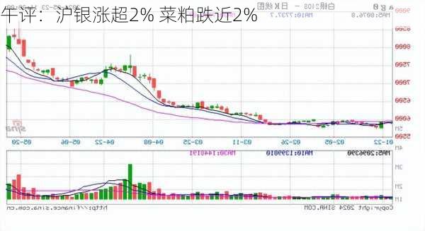 午评：沪银涨超2% 菜粕跌近2%