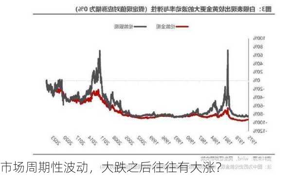 市场周期性波动，大跌之后往往有大涨？