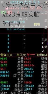 C安乃达盘中大涨近23% 触发临时停牌