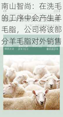 南山智尚：在洗毛的工序中会产生羊毛脂，公司将该部分羊毛脂对外销售