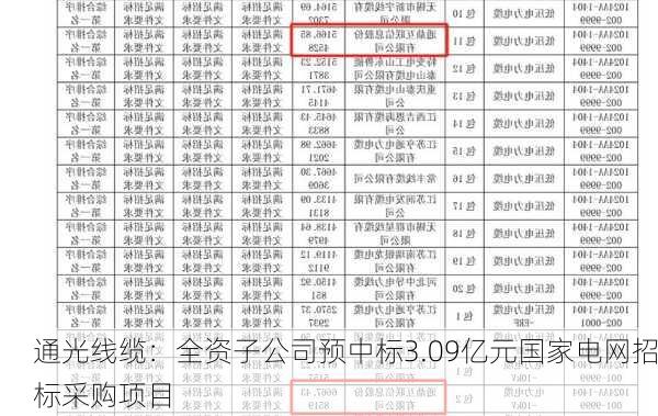 通光线缆：全资子公司预中标3.09亿元国家电网招标采购项目