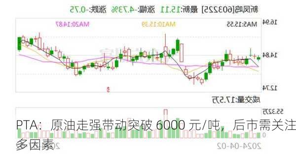 PTA：原油走强带动突破 6000 元/吨，后市需关注多因素