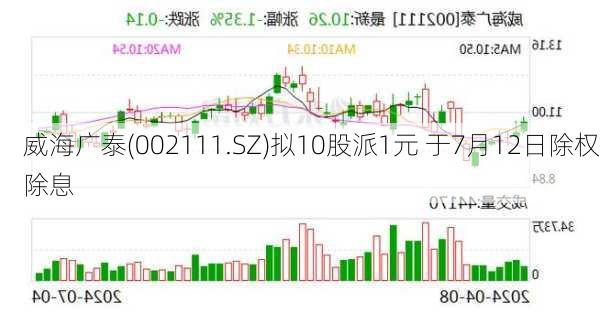 威海广泰(002111.SZ)拟10股派1元 于7月12日除权除息