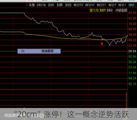 “20cm”涨停！这一概念逆势活跃