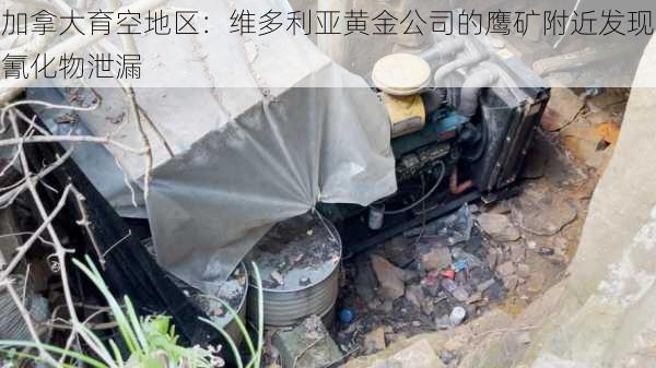 加拿大育空地区：维多利亚黄金公司的鹰矿附近发现氰化物泄漏