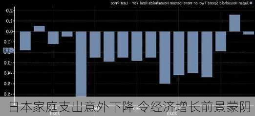 日本家庭支出意外下降 令经济增长前景蒙阴