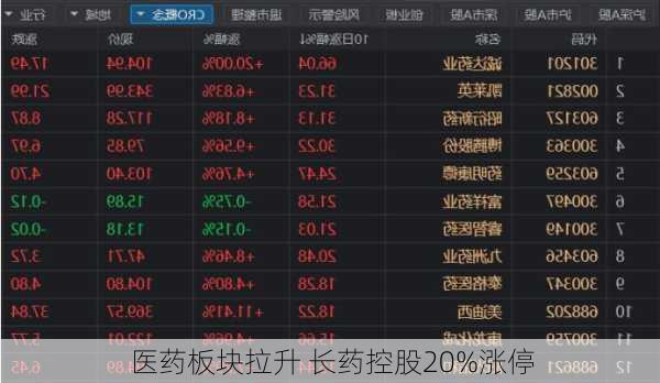 医药板块拉升 长药控股20%涨停