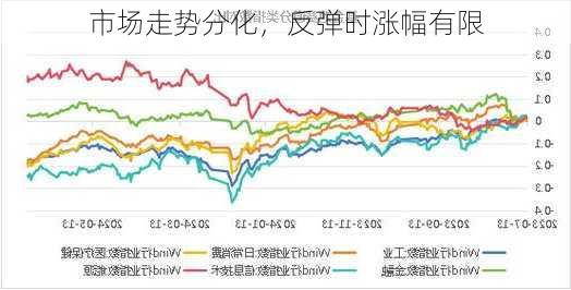 市场走势分化，反弹时涨幅有限