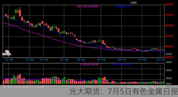 光大期货：7月5日有色金属日报