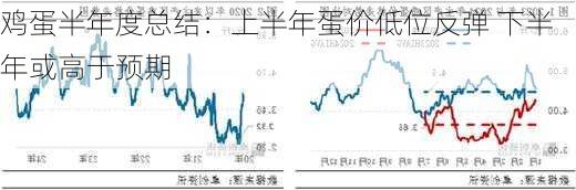 鸡蛋半年度总结：上半年蛋价低位反弹 下半年或高于预期