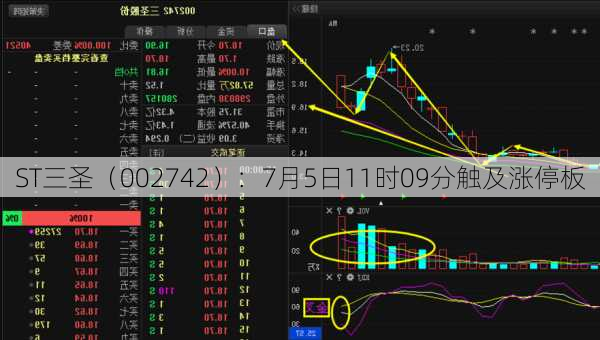 ST三圣（002742）：7月5日11时09分触及涨停板