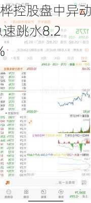 双桦控股盘中异动 急速跳水8.20%