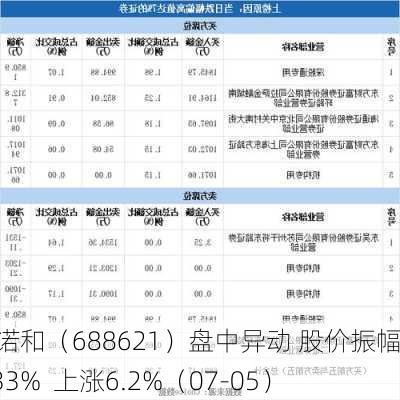 阳光诺和（688621）盘中异动 股价振幅达9.33%  上涨6.2%（07-05）