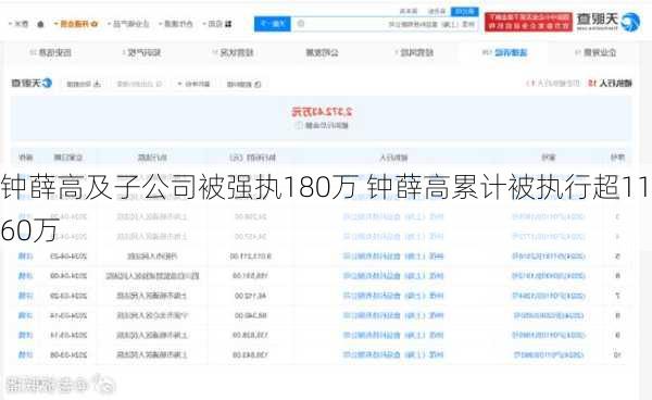 钟薛高及子公司被强执180万 钟薛高累计被执行超1160万