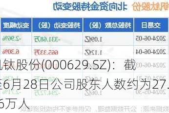 钒钛股份(000629.SZ)：截至6月28日公司股东人数约为27.96万人