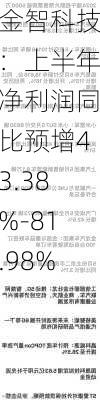 金智科技：上半年净利润同比预增43.38%-81.98%