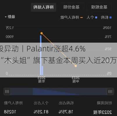 美股异动丨Palantir涨超4.6% 获“木头姐”旗下基金本周买入近20万股