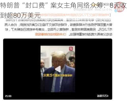 特朗普“封口费”案女主角网络众筹：8天收到超80万美元