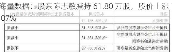 海量数据：股东陈志敏减持 61.80 万股，股价上涨 1.07%